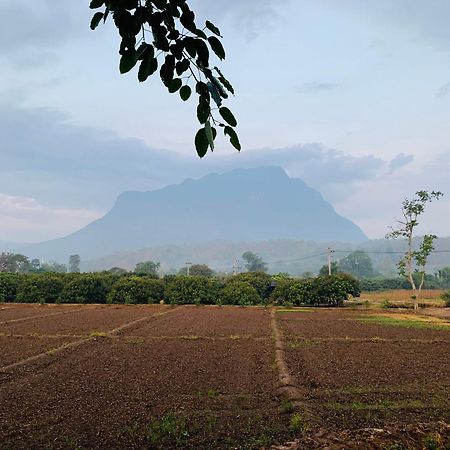 KraThom Doi Luang Hotel Chiang Dao Bagian luar foto